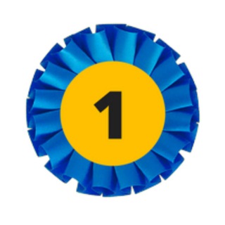 DogWinner про спорт с собакой