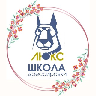 Дрессировка собак в Краснодаре Dog_Luxe