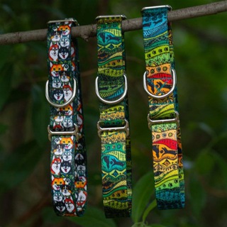 Амуниция из стаи