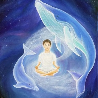 🐬♥️Сознание Дельфина🌀