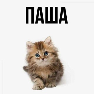 Домик флекса