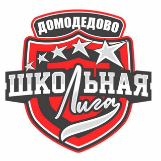 Домодедовская Единая школьная лига