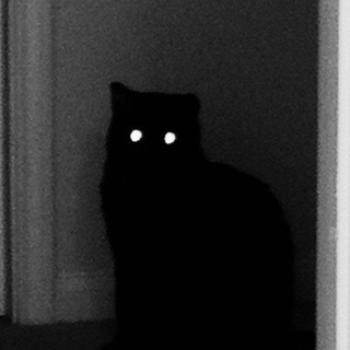 Не выключай свет