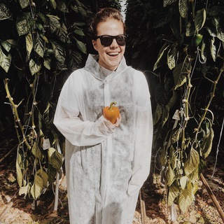 Голодные Игры