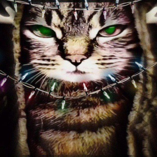 Соси хуй Совок🏳️‍🌈