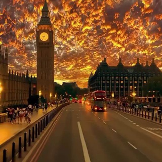 EDO | Про путешествие 🧳 🌎