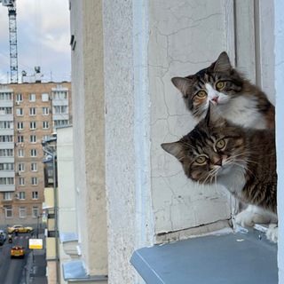 кощки эщница Варвара-заточка и Майорка Картощка