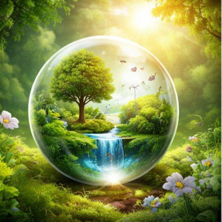 Эколог объясняет