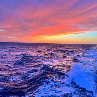 Едем за мечтой