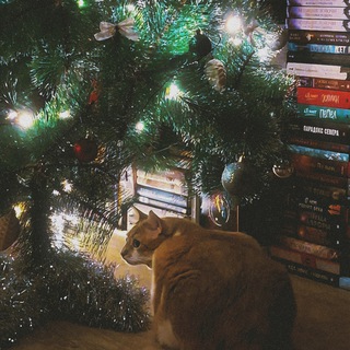 книгоморье 18+