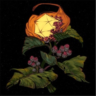 Редакция «Подтаявший лопух»