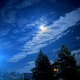 𝘌𝘐𝘚𝘉𝘙𝘌𝘊𝘏𝘌𝘙 🐁