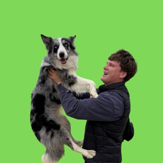 Заметки Владимира Э.