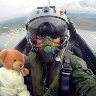 🌿 VIDEO SHORTS by EKHöLM