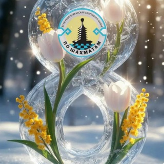 Школа шахмат Калмыкии♟♟♟