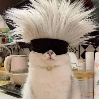 thx_24 (сообщество стрим позеров)