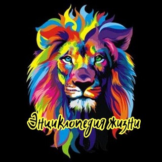 𝔼𝕟𝕔𝕪𝕔𝕝𝕠𝕡𝕖𝕕𝕚𝕒 𝕠𝕗 𝕃𝕚𝕗𝕖