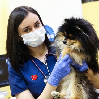 Ветеринарная эндоскопия и гастроэнтерология💩🐈‍⬛🐕