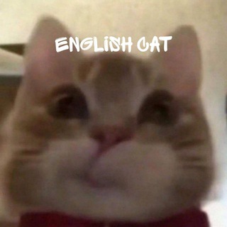 ENGLISH CAT