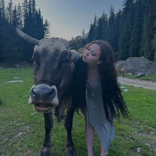 Все песни Ениной