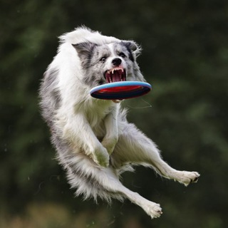 𝐓𝐡𝐞 𝐬𝐨𝐮𝐥 𝐨𝐟 𝐦𝐲 𝐬𝐨𝐮𝐥 °• 🫐