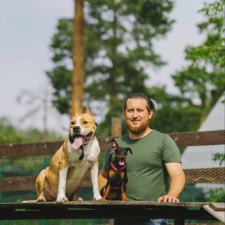 Денис Ерин | Дрессировка собак