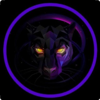 💎 ESCORT CLUB PANTHER💎