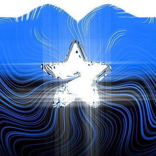 EvilPremium / Розыгрыши Telegram Premium