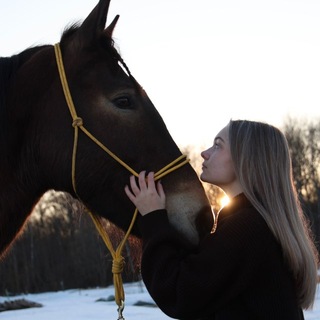 🌾𝐸𝓎&𝒮𝑜🐴