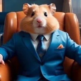 Hamster kombat: комбо карты, секретные коды ежедневно