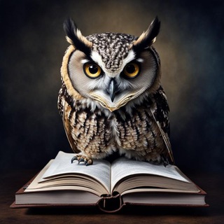 Факты и Викторина