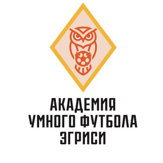 Академия Умного Футбола Эгриси