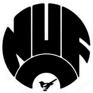 Английские сороки | Newcastle United