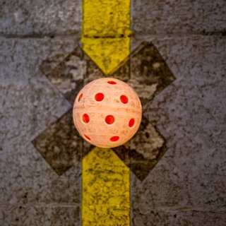 Флорбольная культура