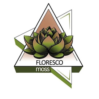 ФЛОРАРИУМЫ ∆ FLORESCO moss🪴