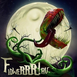 Flowerrr.ru | Растения-хищники | Плотоядные растения | Хищные растения