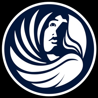 Сливы, инсайды FINIKO!