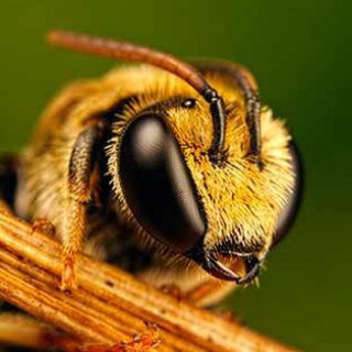 ФПР-Красноярск