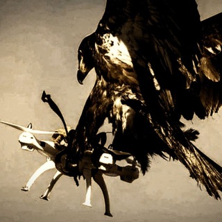 "...,как небо?" Записки FPV-противодействия