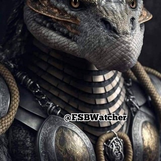 FSB Watcher