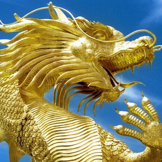 Школа Ушу «Золотой Дракон»