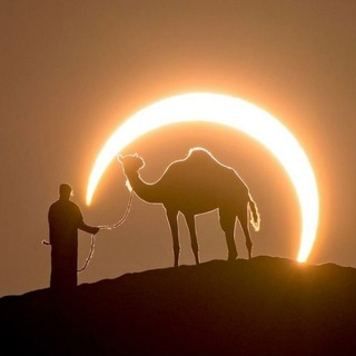 Фома | Факты | История