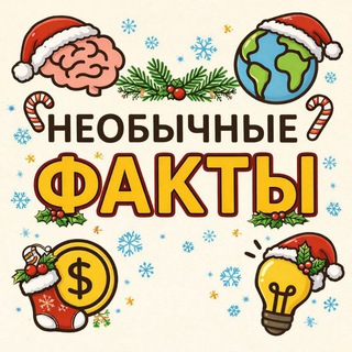 Необычные факты