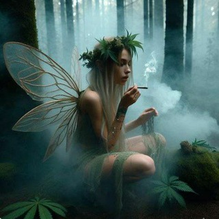 𝐹𝑎𝑖𝑡𝑡𝑒𝑟𝑒𝑦𝑎🕊🫧