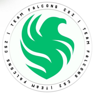 Team Falcons CS2