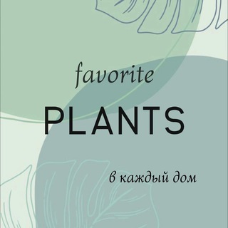 Крапивкино счастье и компания | растения в твой дом