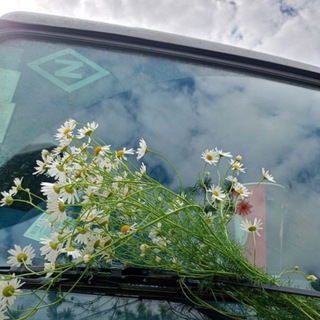 Видео с СВО