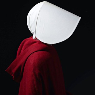 ФемНовости 🗞