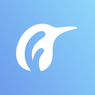 FINGUIN | Финансовый консалтинг