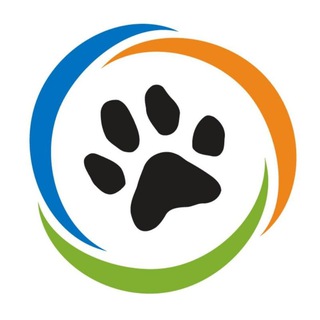 Ох, уж эти животные❤Видео